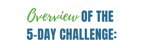 Overview of the 5 day challenge